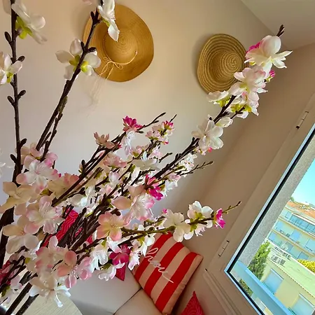 Vieil Comfort & Tasteful Decoration *