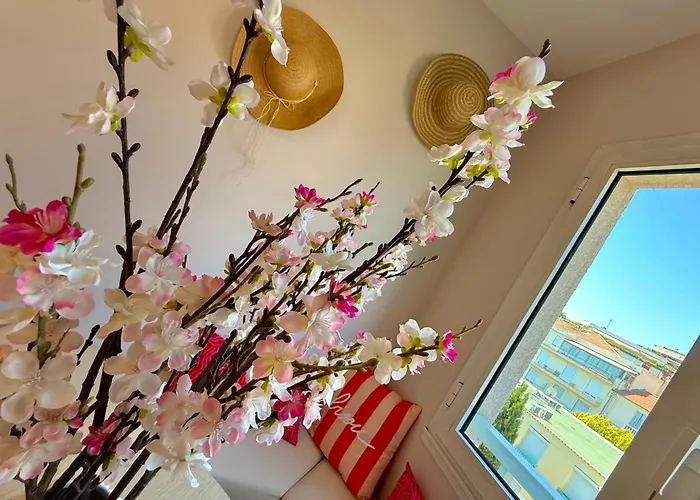 Vieil Comfort & Tasteful Decoration *